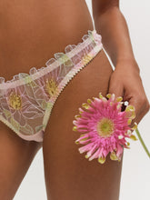 Blush Hibiscus Thong Panty - Pink