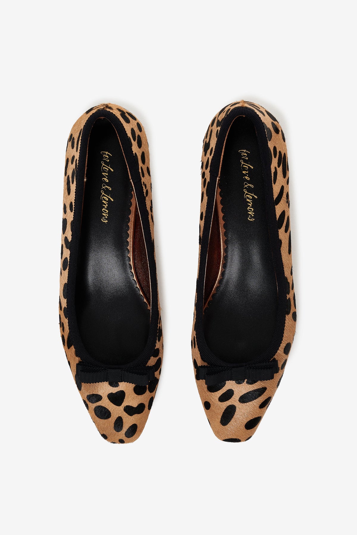 Lucia Ballet Pump - Brown