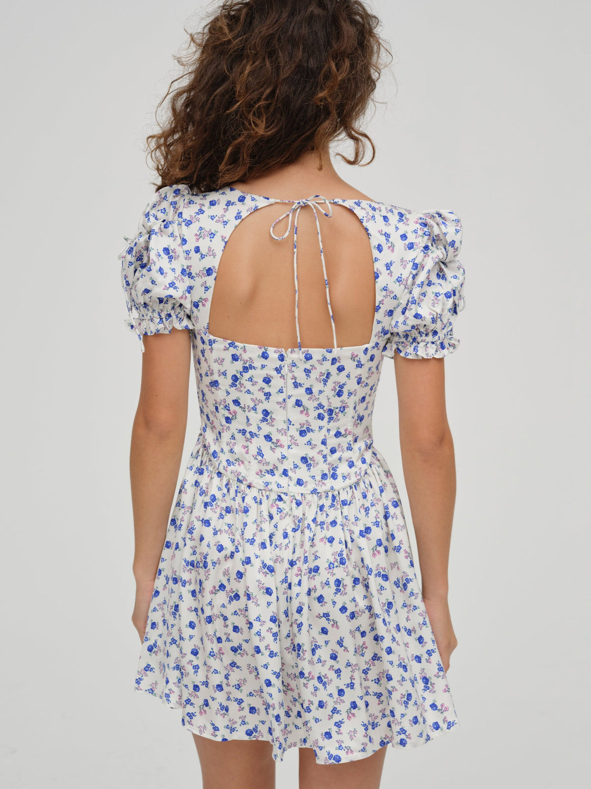 Paulina Puff Sleeve Dress - Blue