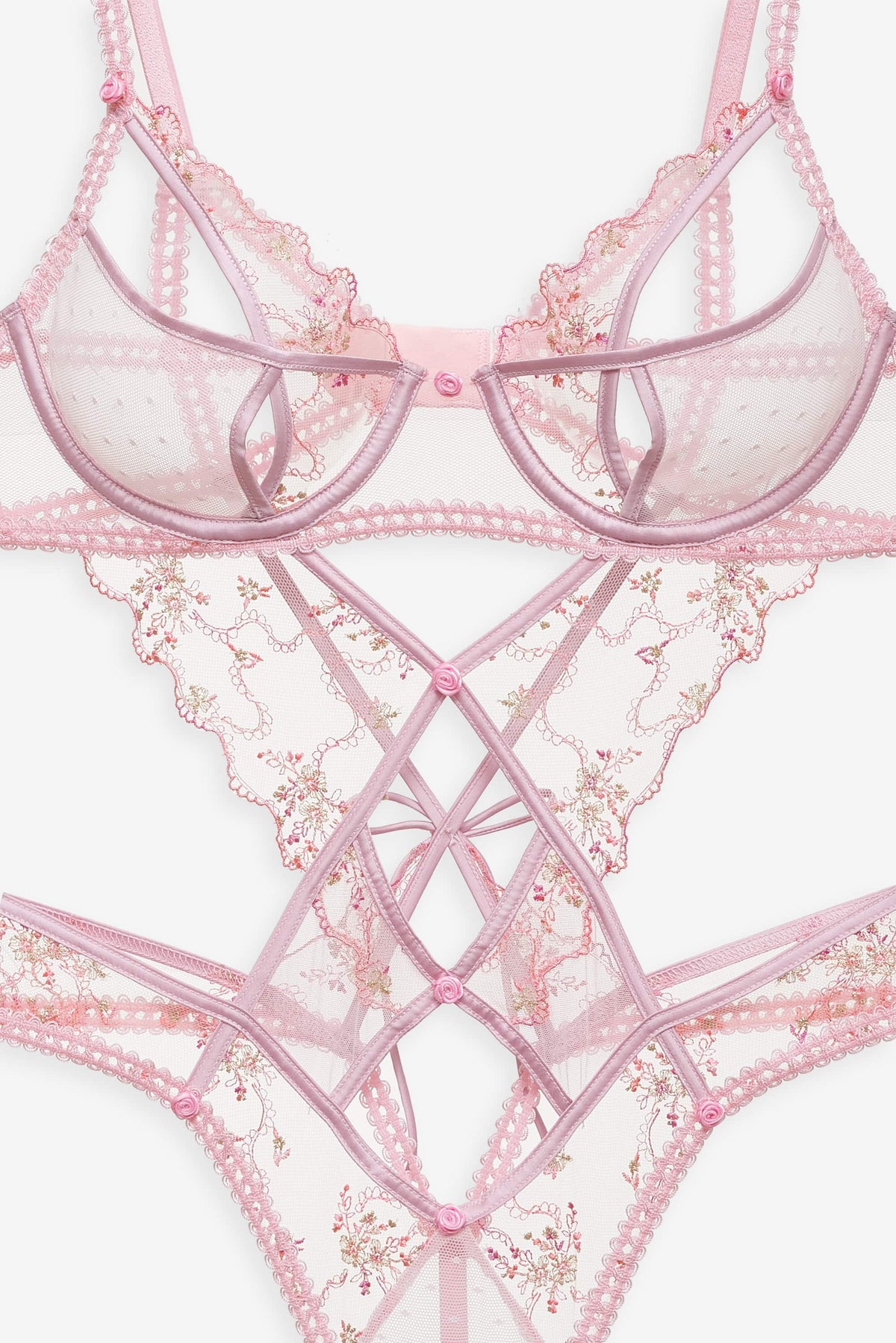 Dainty Daphne Teddy - Pink