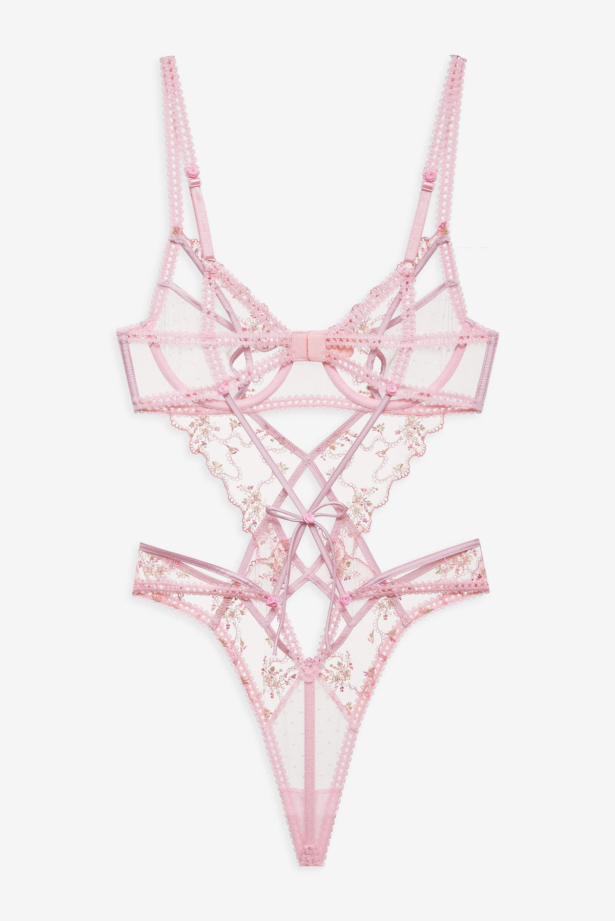 Dainty Daphne Teddy - Pink