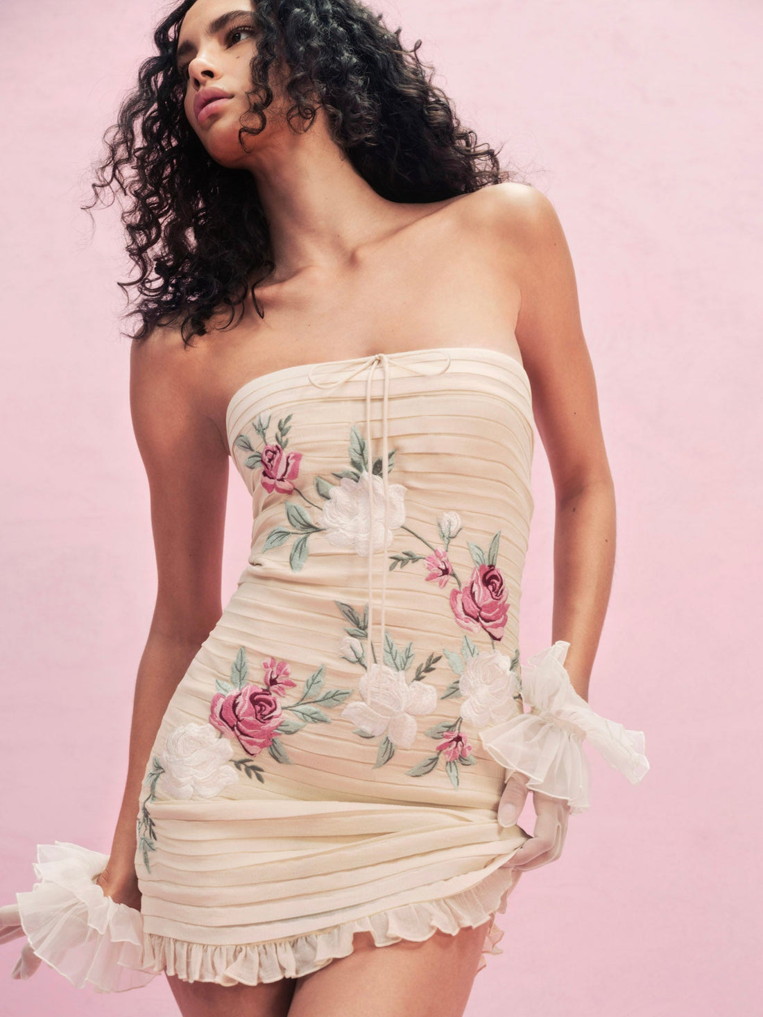 Climbing Rose Embroidered Mini Dress