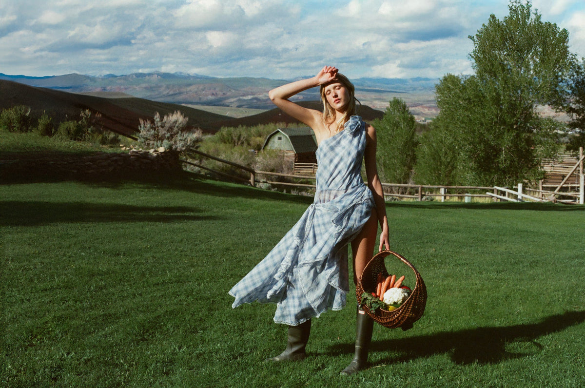 Bluebird Plaid Midi Dress - Blue
