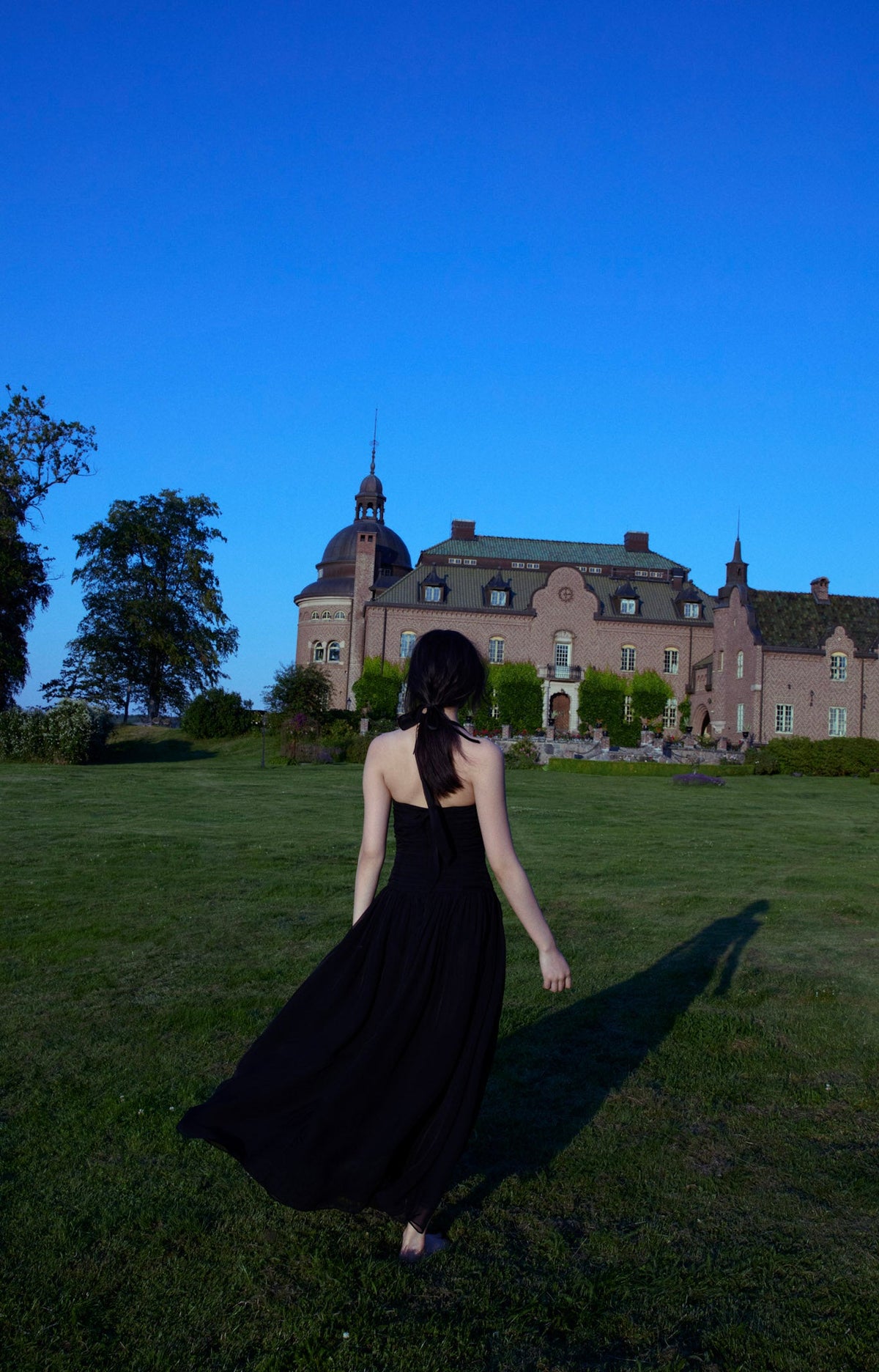 Ophelie Organza Maxi Dress - Black